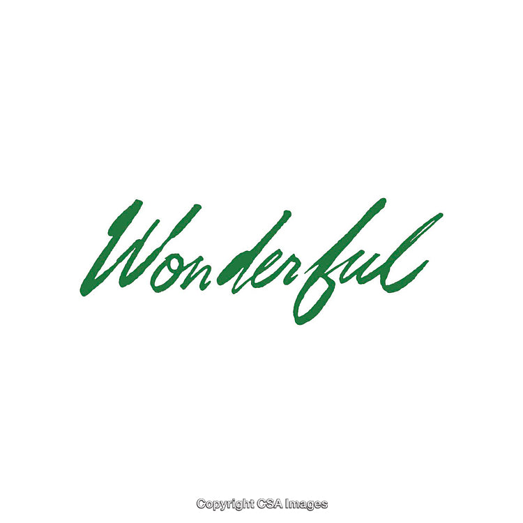 Green Handwritten Wonderful Word on Clean White Background