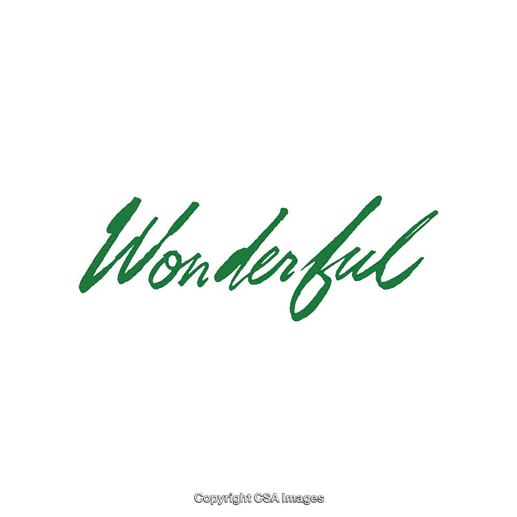 Green Handwritten Wonderful Word on Clean White Background