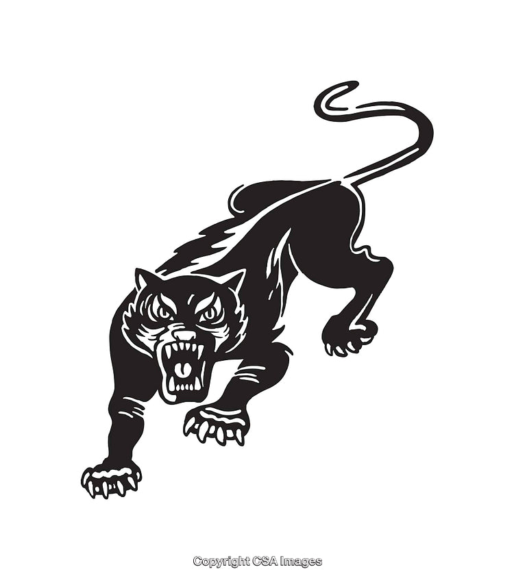 Black and White Illustration of a Snarling Panther Line Art