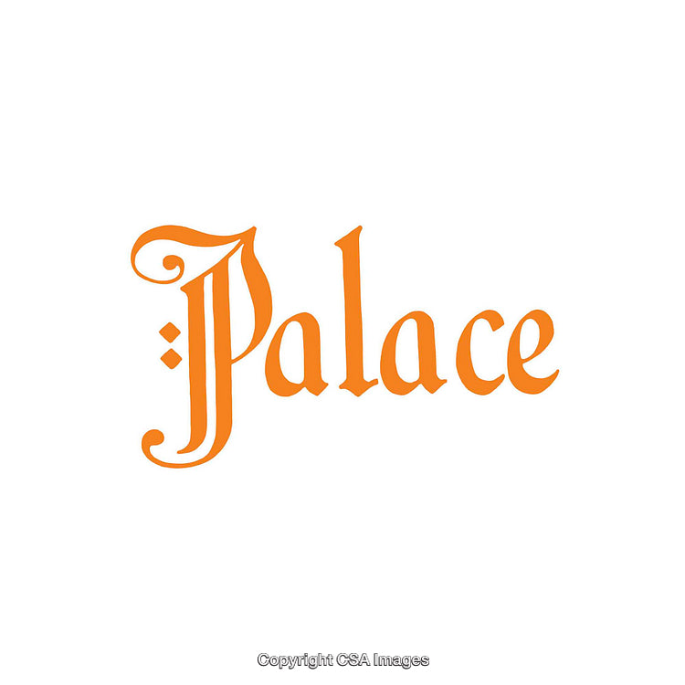 Elegant Orange Text Design Featuring the Word 'Palace' in Ornate Font