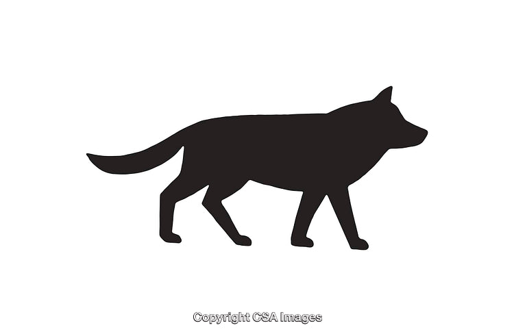 Silhouette Illustration of a Walking Wolf in Black on White Background