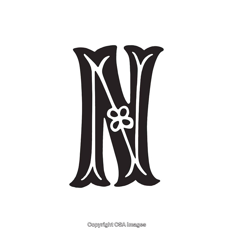 Elegant Letter N Design with Ornamental Floral Element on White Background
