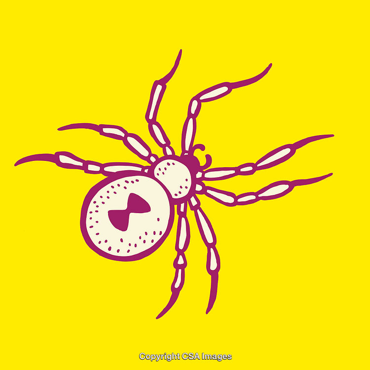 Bright Yellow Background Illustrating Spider in Stylized Line Art Design