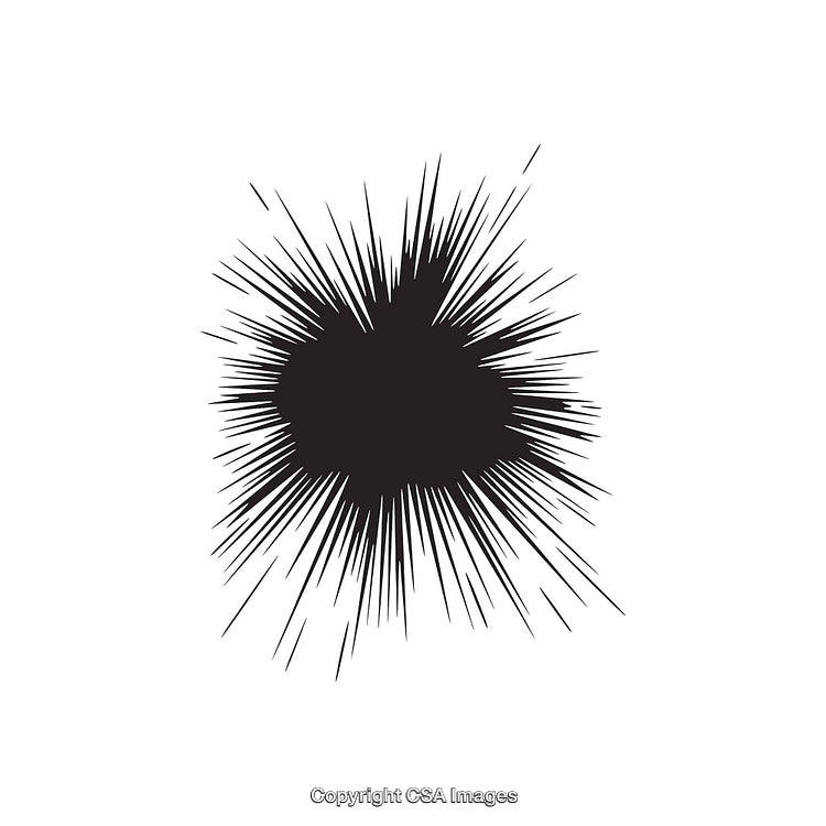 Abstract Black Starburst Design on a White Background