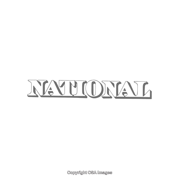 Gray Artistic National Typography in Bold Serif Font Style