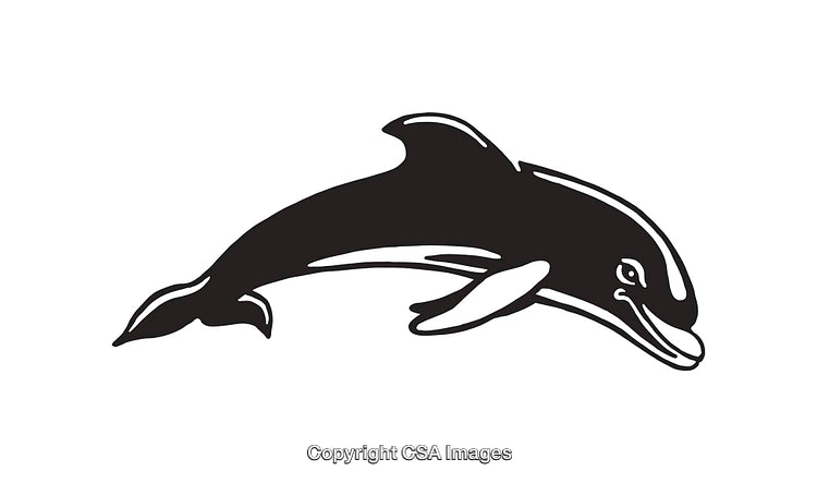 Elegant Black And White Line Art Illustration of a Dolphin