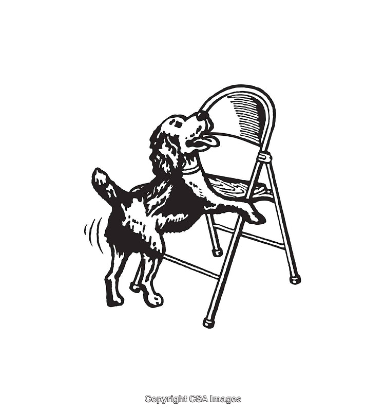 Black and White Line Art of Dog Interacting With A Chair