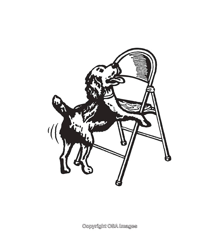 Black and White Line Art of Dog Interacting With A Chair