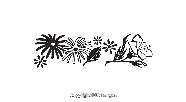 Black and White Line Art of Flowers and Leaves Illustration