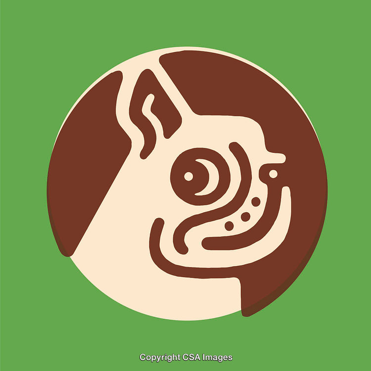 Minimalist Line Art Illustration of Dog Head in Green and Brown Colors