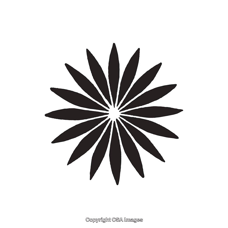 Minimalist Black Flower Silhouette with Radial Symmetry on White Background