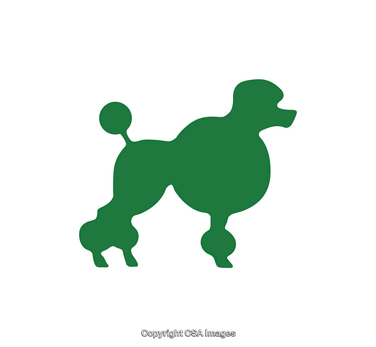 Green Silhouette of Poodle Dog Figure in Icon Design