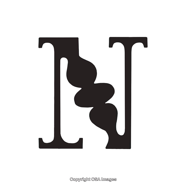 Artistic Representation of the Letter N with Abstract Design Interpretations