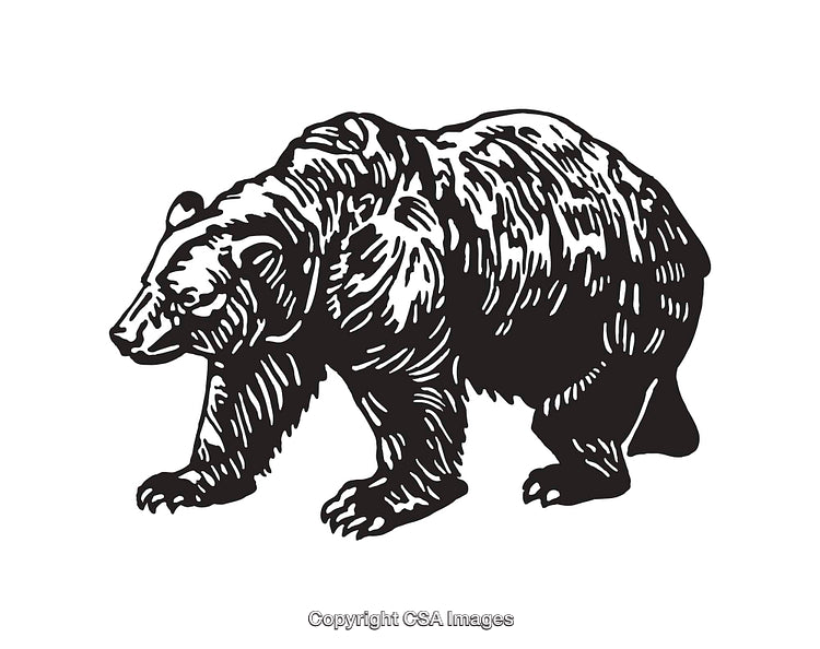 Black and White Line Art Illustration of a Grizzly Bear Walking