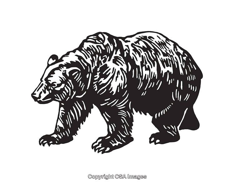 Black and White Line Art Illustration of a Grizzly Bear Walking