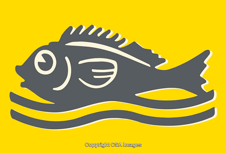 Stylized Gray Fish Illustration on Bright Yellow Background