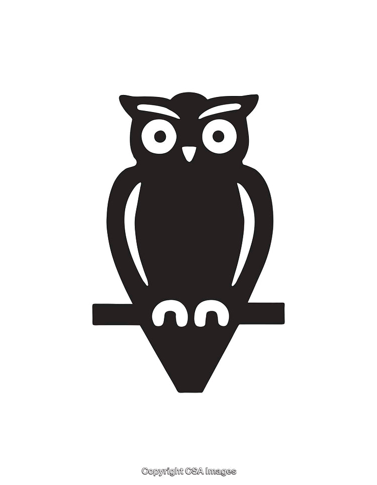 Black And White Owl Illustration With Geometric Minimalistic Design