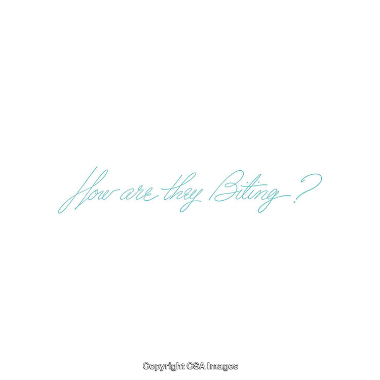 Minimalistic Pastel Script Text on White Background