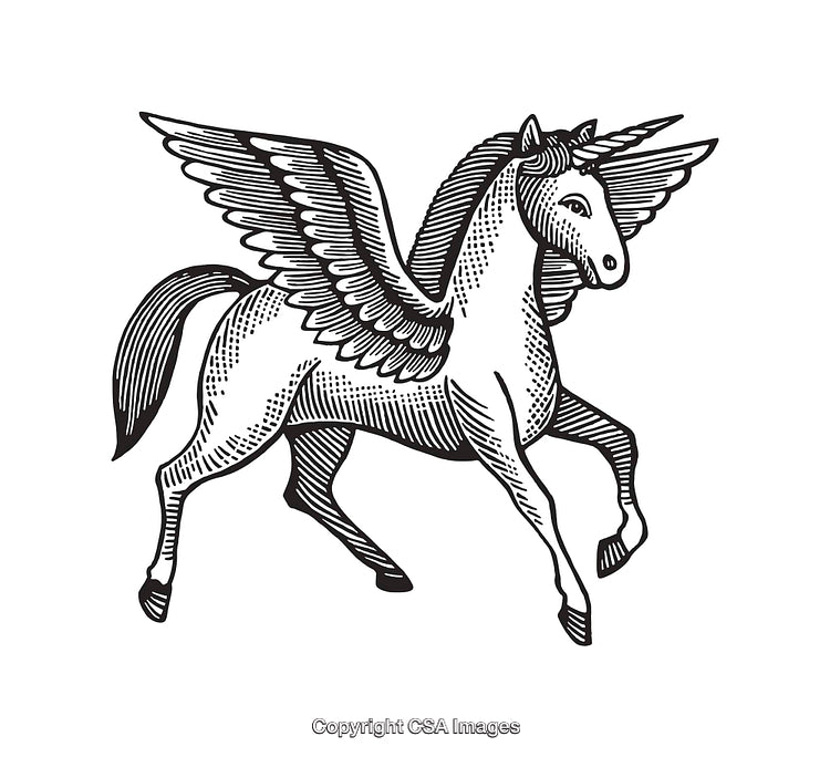 Black and White Line Art Illustration of a Winged Unicorn Mythical Creature