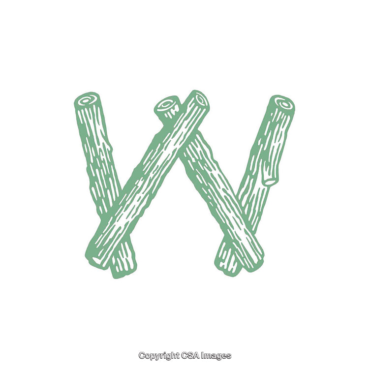 Stylized Letter W Formed Using Log Illustrations in Pastel Tone