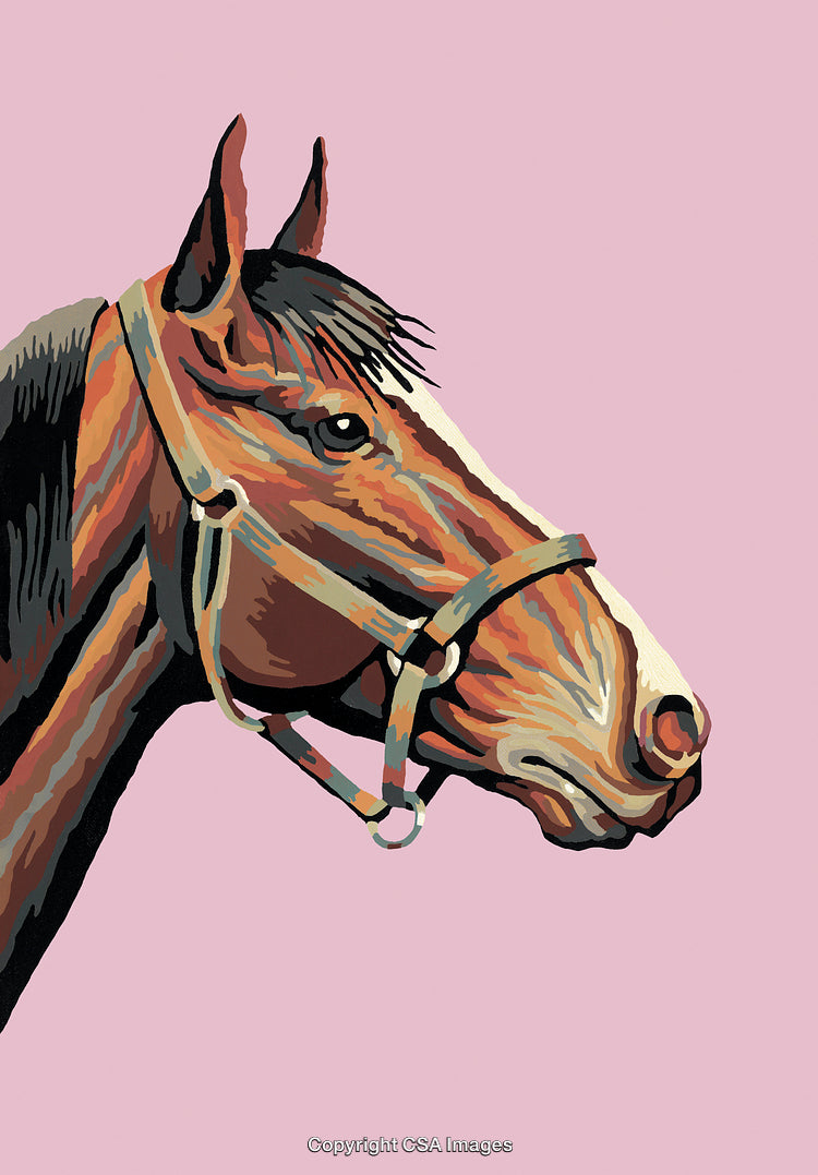 Illustration of a Horse Head in Paint by Numbers Style on Pink Background