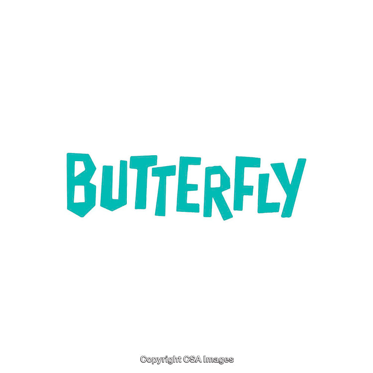 Bold Turquoise Word Art Featuring the Word Butterfly on White Background