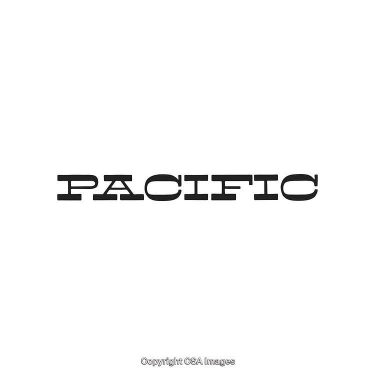 Pacific Typeface Logo Design in Monochrome for Branding or Commercial Use