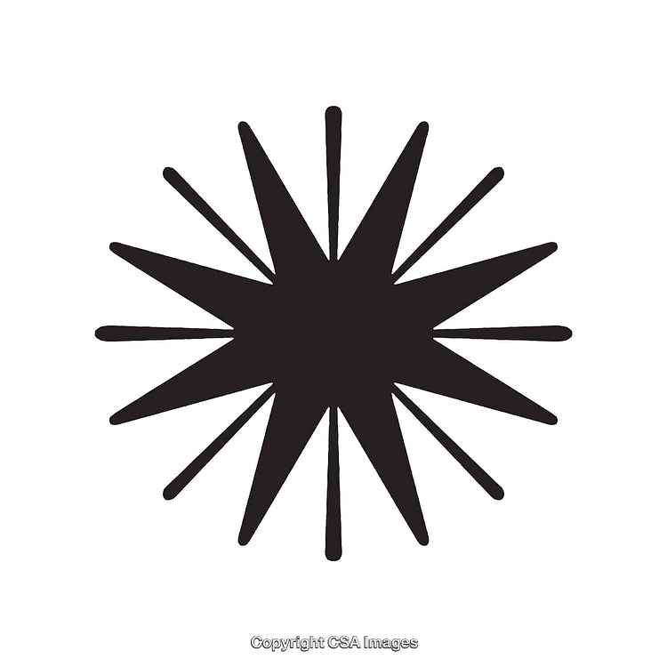 Black and White Decorative Dingbat Shape with Radiating Star Design