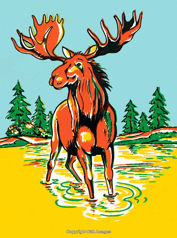 Colorful Illustrated Moose in a Forested Lake Scene With Vibrant Colors