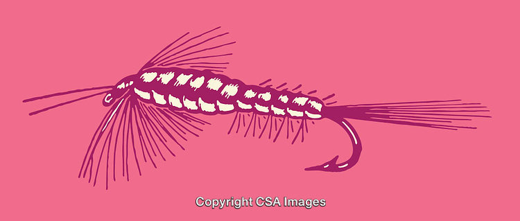 Detailed Line Art Illustration of Fishing Fly on Vibrant Background