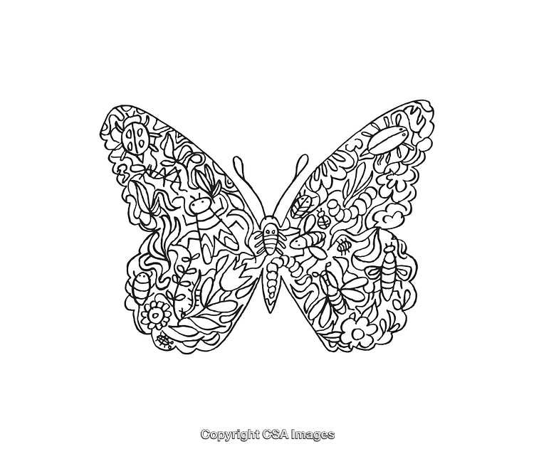 Intricate Butterfly Line Art Illustrating Nature Elements and Wildlife