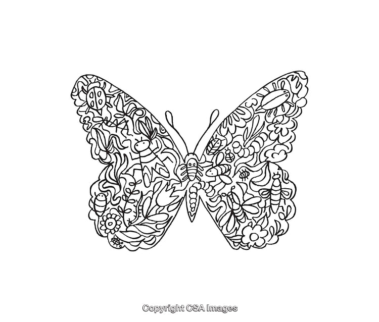 Intricate Butterfly Line Art Illustrating Nature Elements and Wildlife