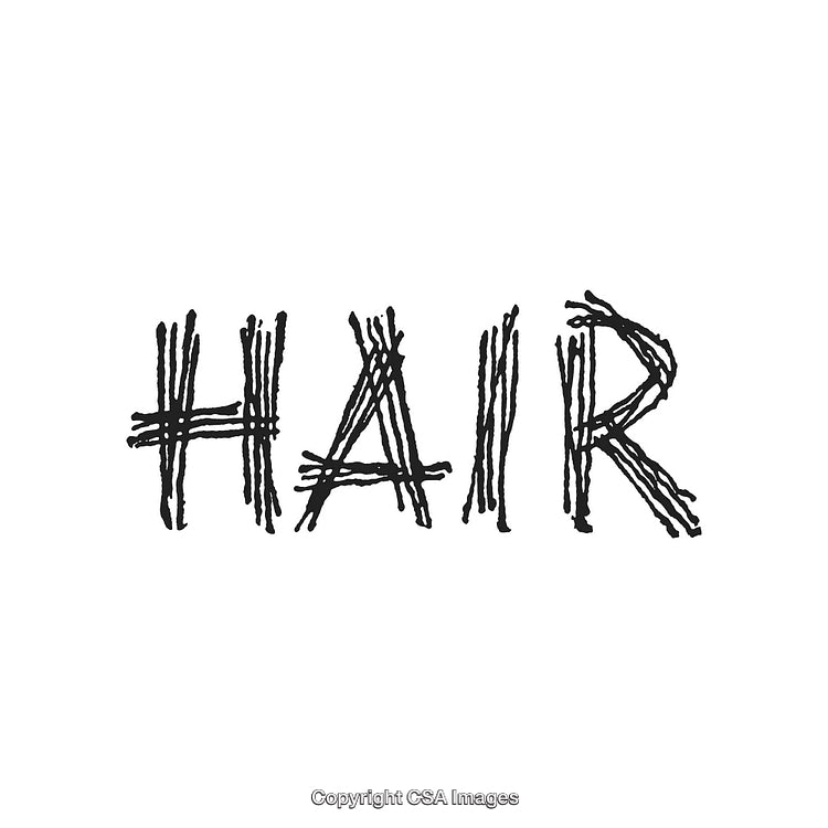 Hair Composed of Thin, Textured Strokes on a White Background