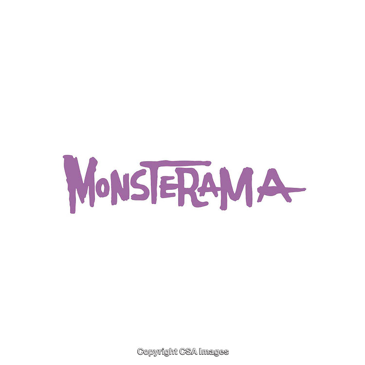 Purple Monsterama Text Logo on White Background in Unique Font Design
