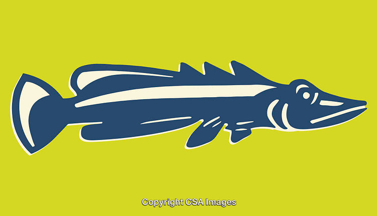Stylized Blue Fish Illustration on Bright Yellow Background