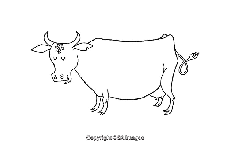 Charming Line Art Illustration of a Decorated Cow with a Simple Design
