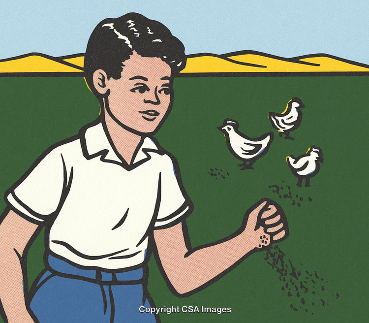 Young Boy Feeding Chickens in a Pastoral Countryside Cartoon Illustration
