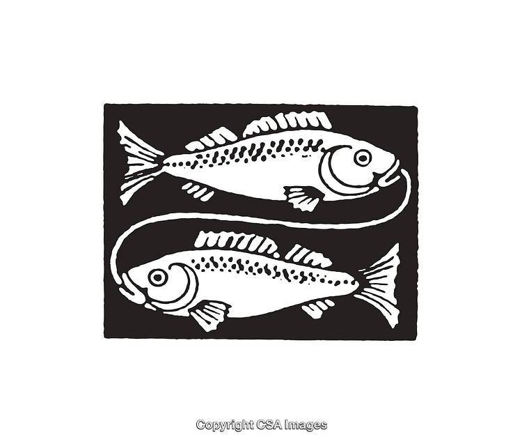 Black And White Illustration of Two Fish in Artistic Design