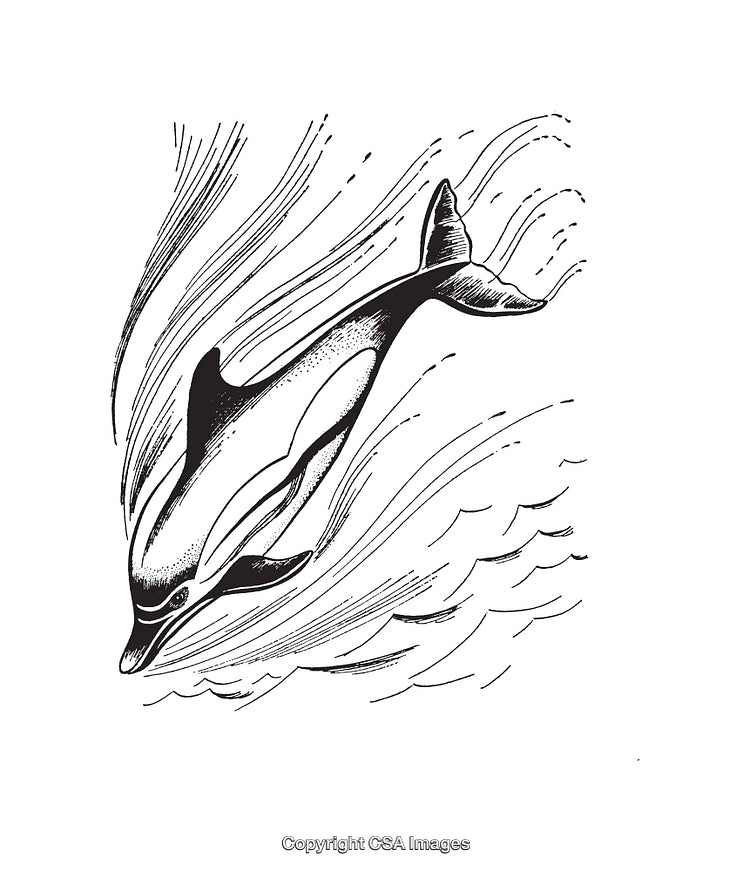 Black and White Illustration of a Dolphin Swimming in the Ocean