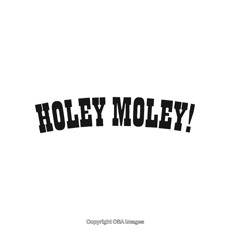 Playful Typography Featuring the Phrase 'Holey Moley!' in Bold Black Letters