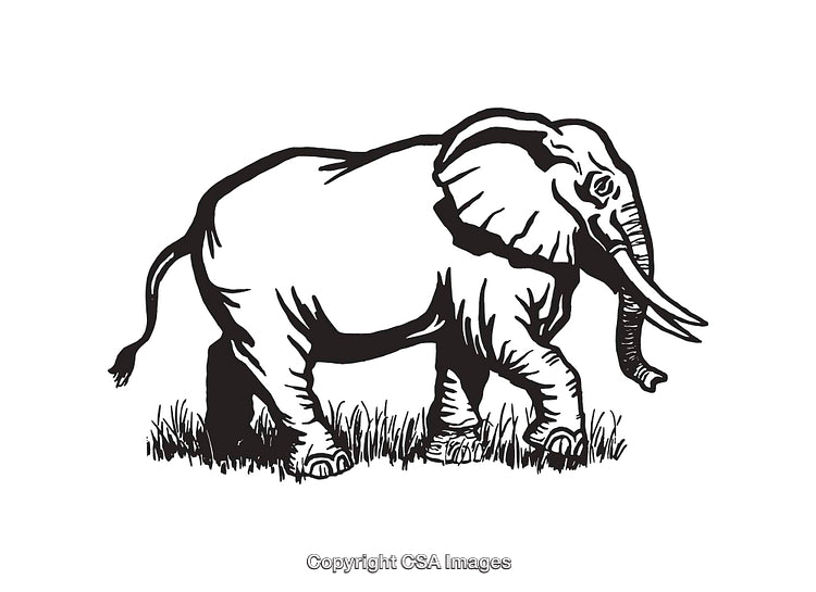 Black and White Line Art Illustration of a Majestic Elephant