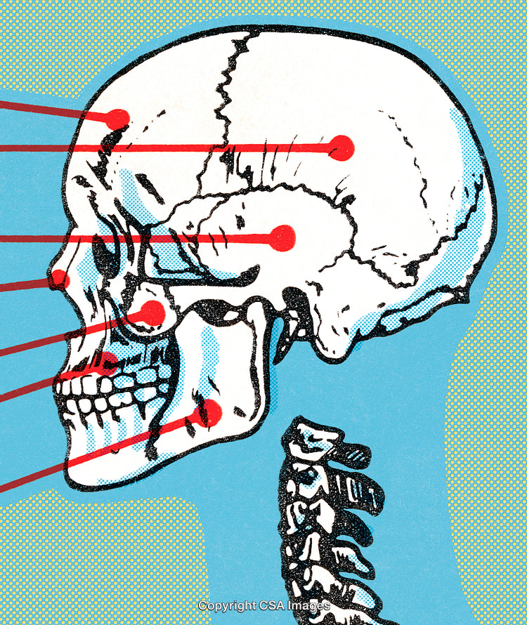 Artistic Colorful Skull Illustration with Science and Anatomy Concept