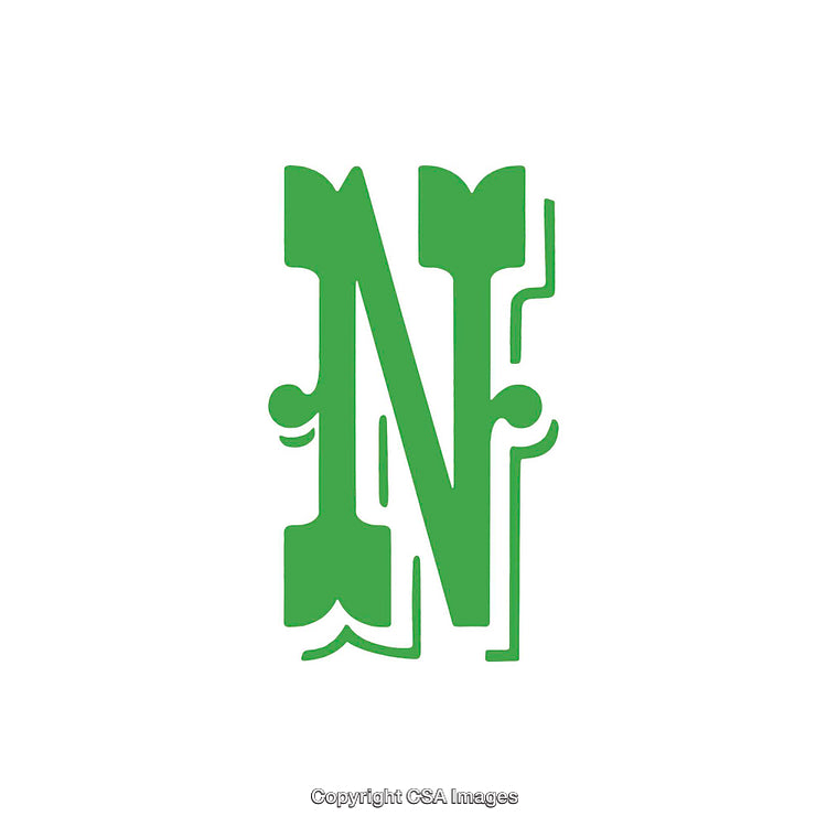 Green Ornamental Letter N With Decorative Flourishes on White Background