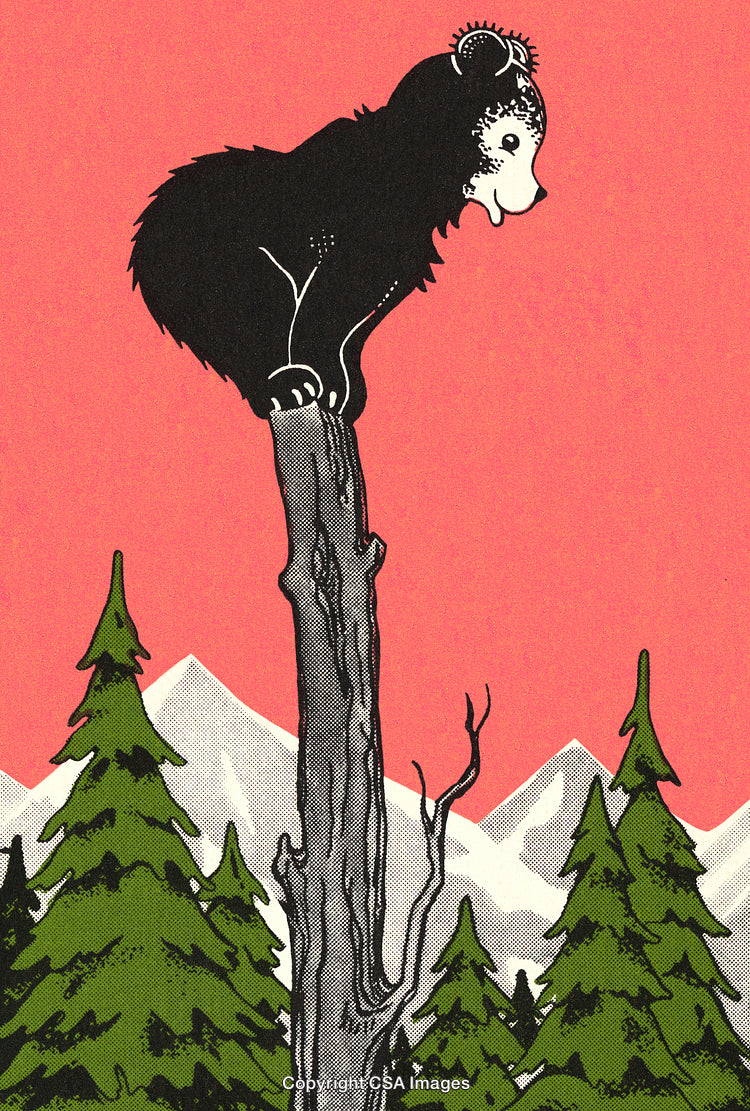 Adorable Bear Posed on a Tall Tree Against a Pink Mountainous Backdrop