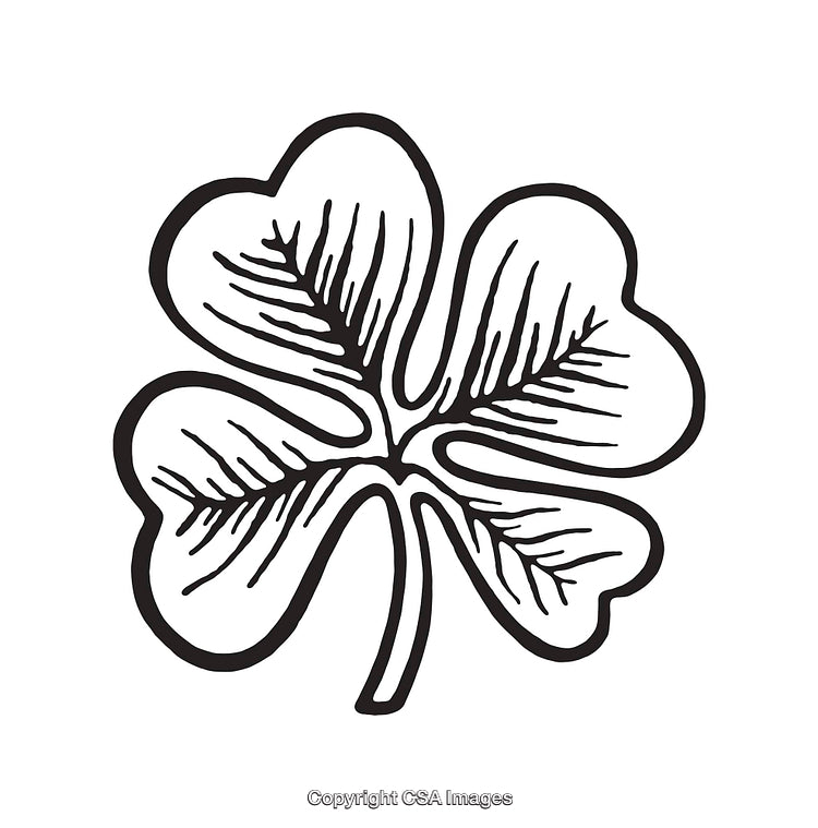 Hand-Drawn Four-Leaf Clover Line Art on White Background