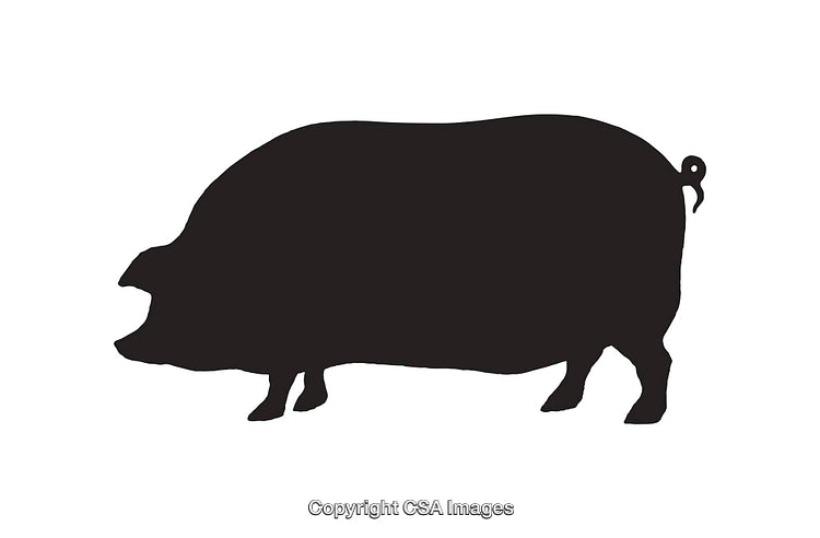 Silhouette Illustration of a Pig Side View in Black and White