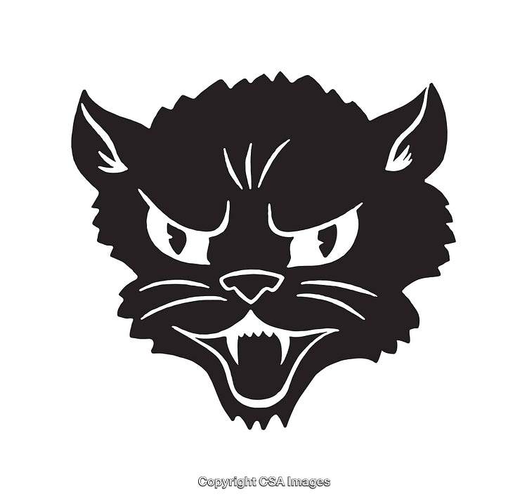 Black and White Angry Cat Line Art Illustration