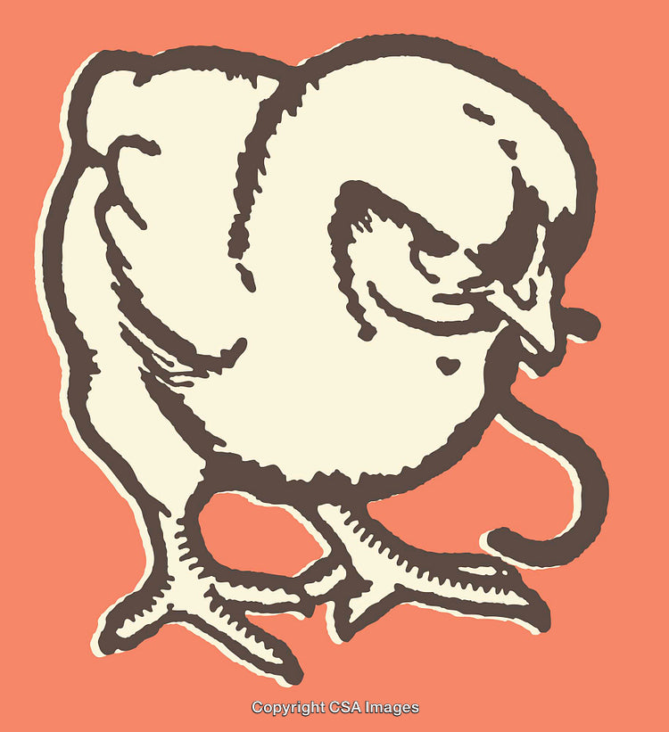 Vintage Line Art Illustration of a Chick on a Coral Background