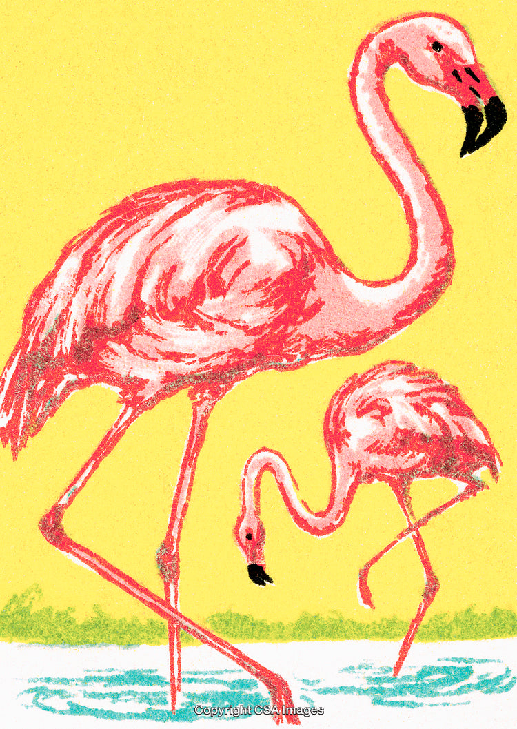 Vibrant Illustration of Two Flamingos near Water in a Bright Setting