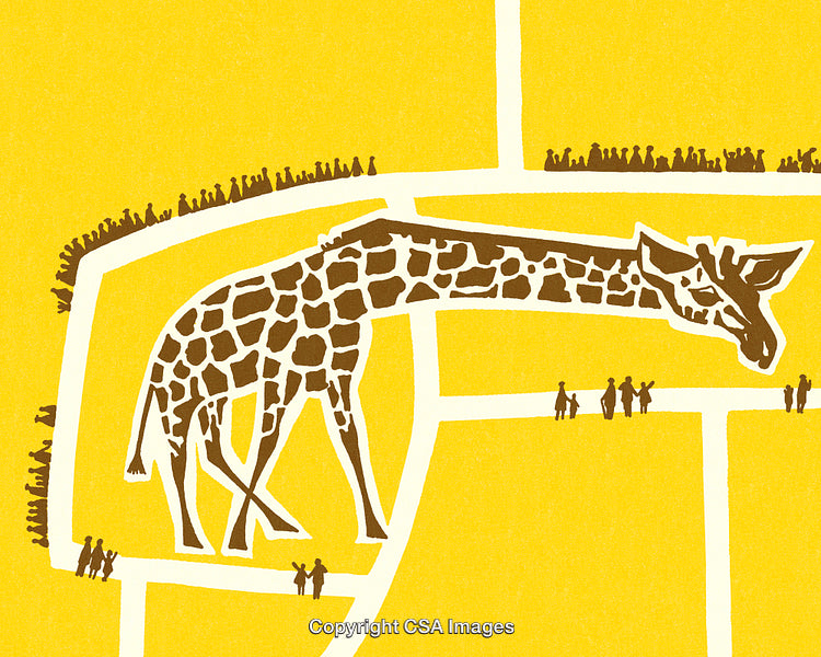 Abstract Giraffe Illustration Featuring Yellow Background and Road Design